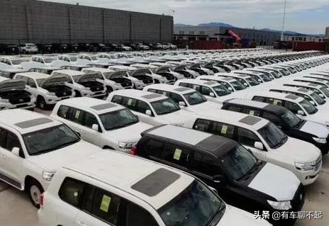 赣州国际陆港进口汽车突破千辆大关