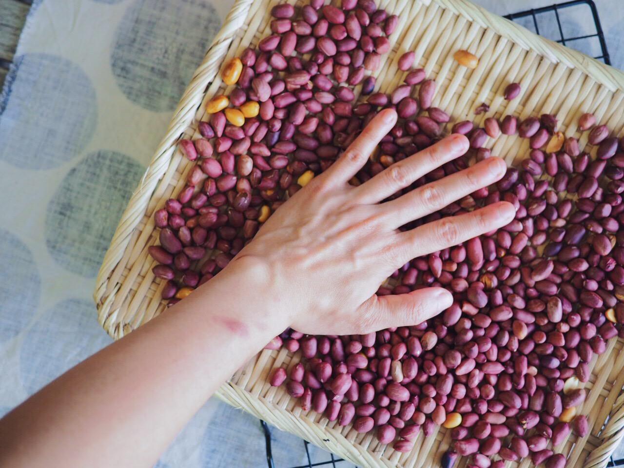 想吃花生酱不用买，5块钱自制一大瓶，纯正无添加，还能做曲奇