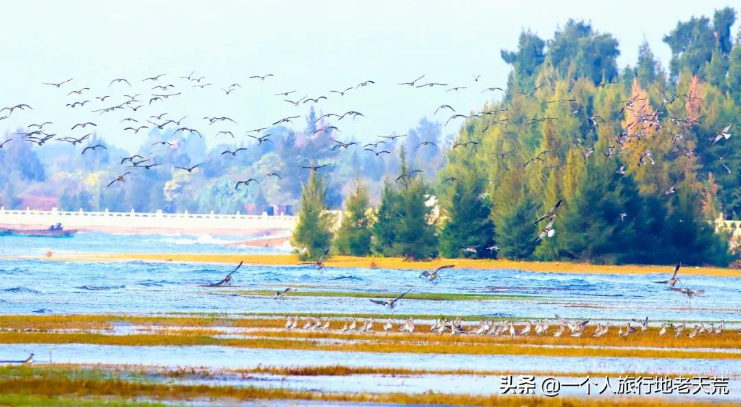 刚过完清明，这个省区又要放假了！全国人民都羡慕这里了