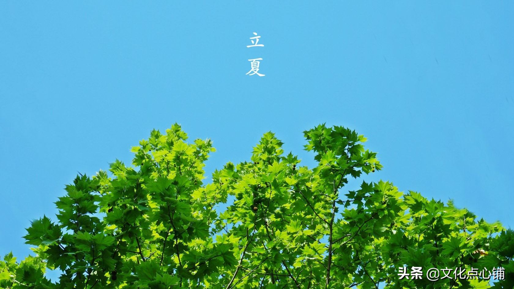 道尽最美的夏日时光-第3张图片-非凡网