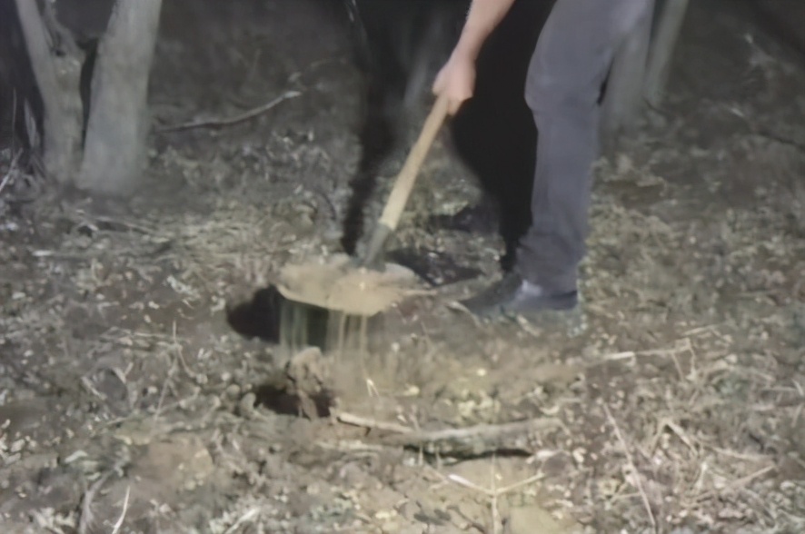 68岁老汉与16岁少女恋爱，遭其联合新男友杀害，