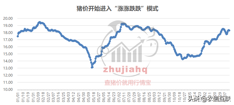 最新猪价预测：猪价能否涨破40元大关？4个因素分析生猪行情