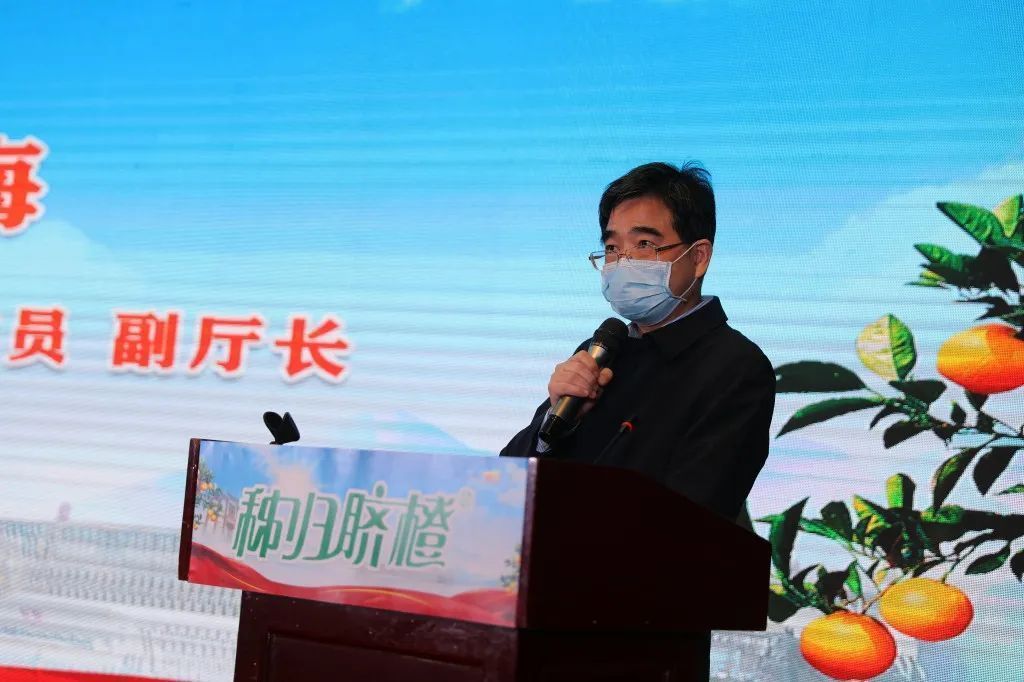 助農現場簽約六千萬！湖北廣電壟上產銷聯盟助力秭歸臍橙銷售