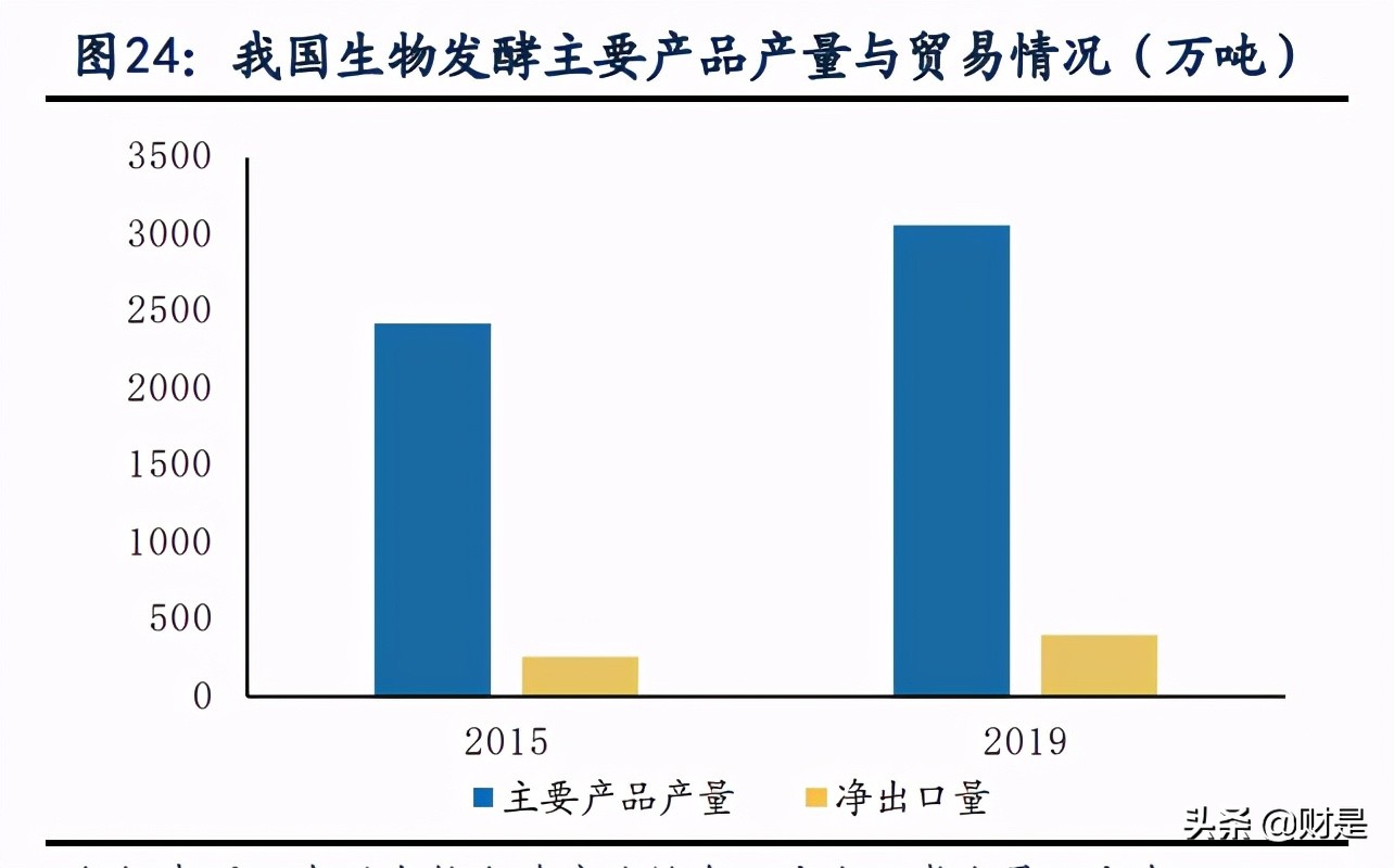 新和成专题报告：多平台、新项目 助力公司发展再上台阶