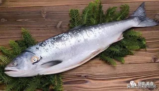史上最全的顶级“海鱼”海鲜大全,全吃过的你人生就到达了巅峰!