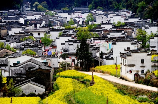 国庆旅游业上复兴之路？25省发布旅游喜报，九省收入破300亿