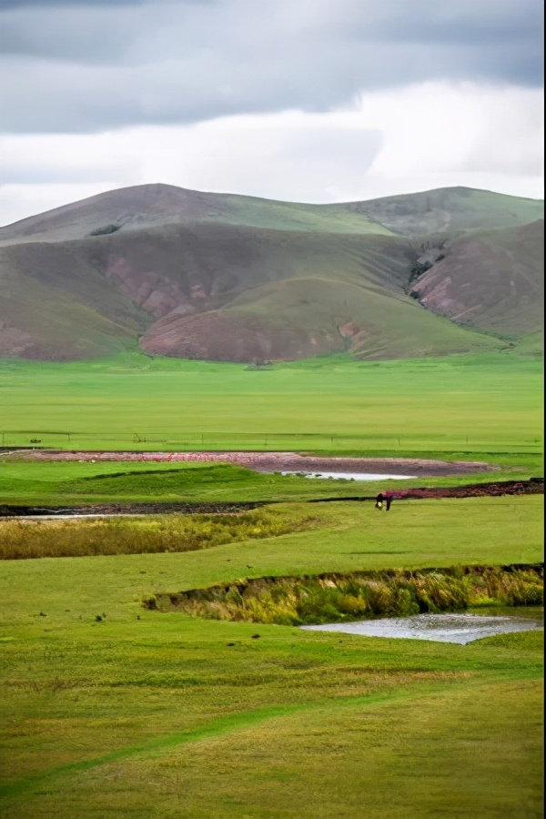 Hulunbuir Grassland The Most Beautiful Grassland In China Inews 5529