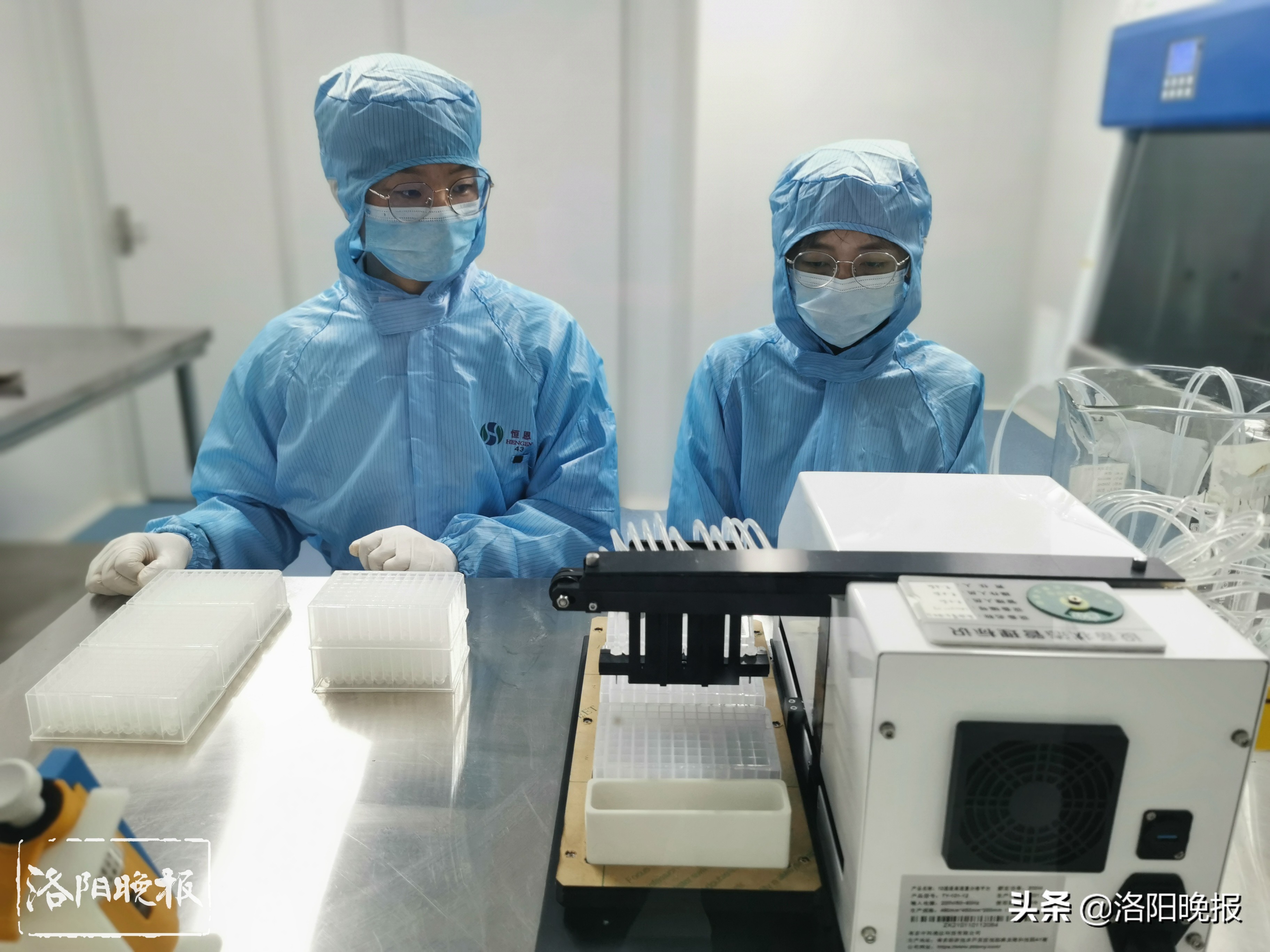 “洛阳制造”核酸提取试剂日产量达20万人份