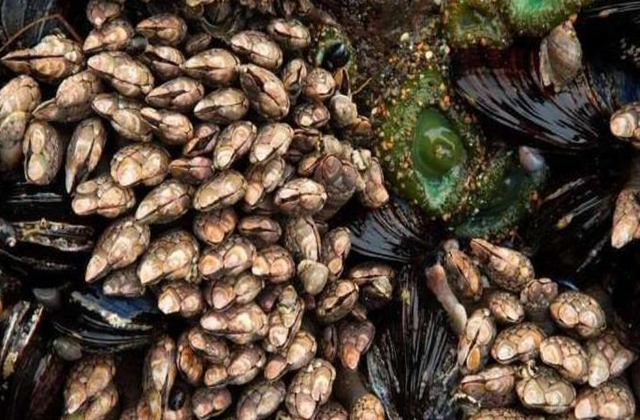 航母使用一次就要返厂维护，真有那么容易坏吗