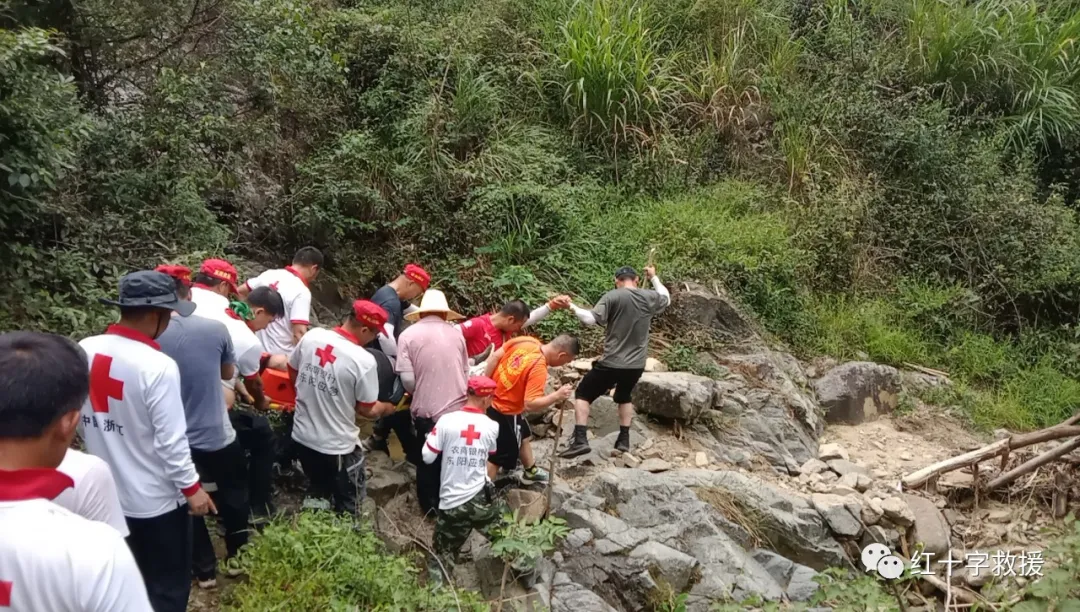 虎鹿一村民采摘香榧不慎受伤,救援队员接力将其运送下山