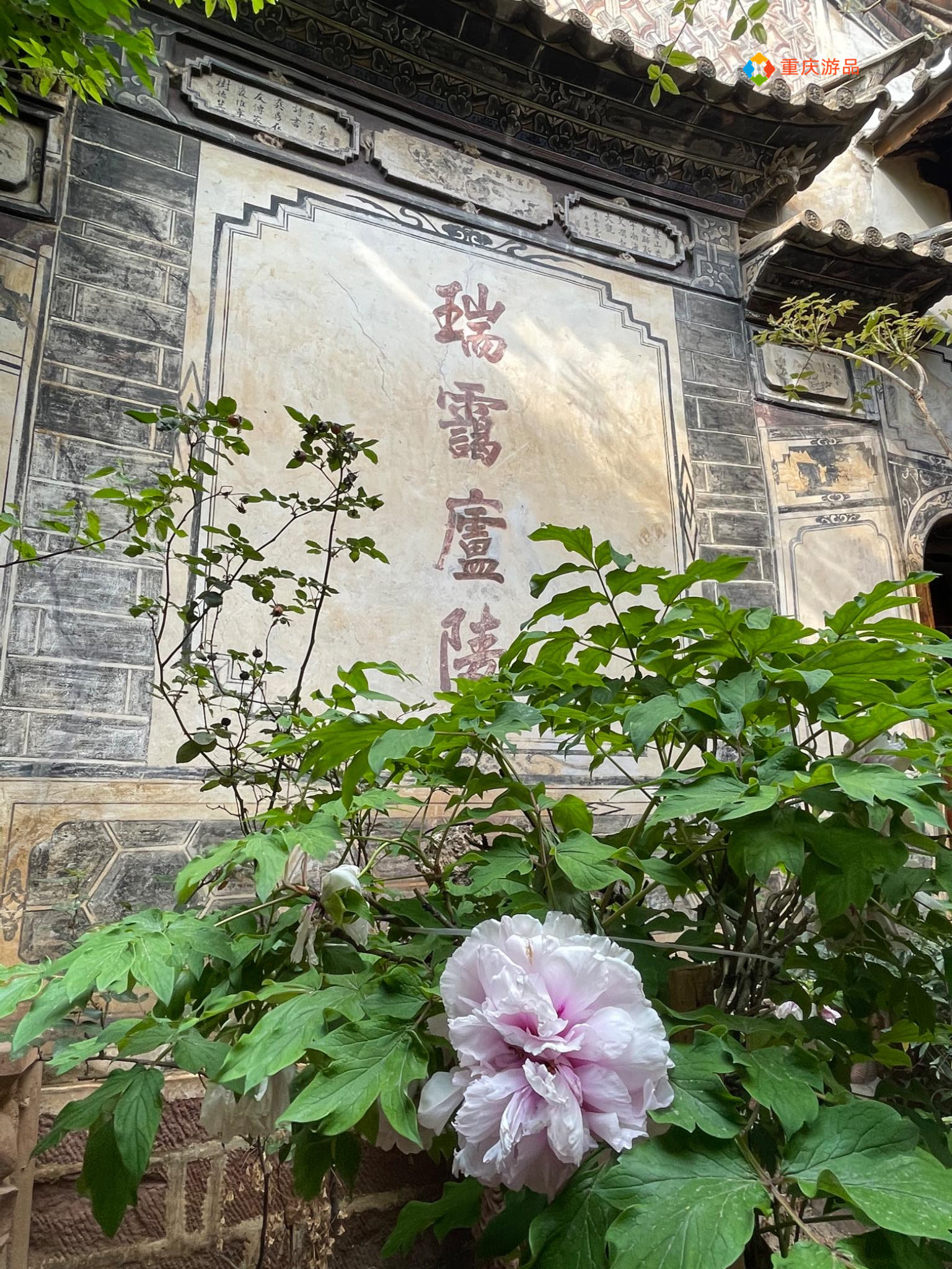 卖房环游记：重庆小夫妻最难忘的一顿饭，体验即将遗失的马帮文化
