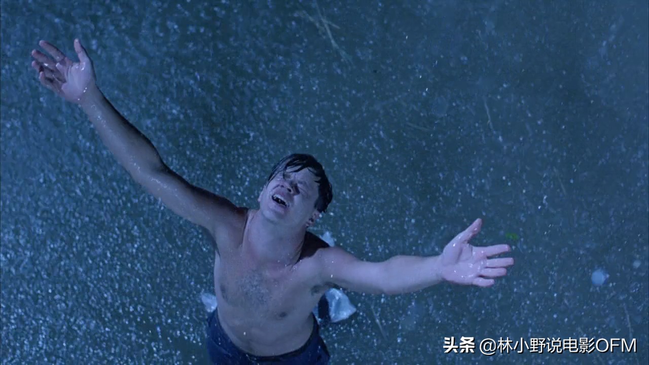 This old oak tree was struck by lightning! "Shawshank's Redemption