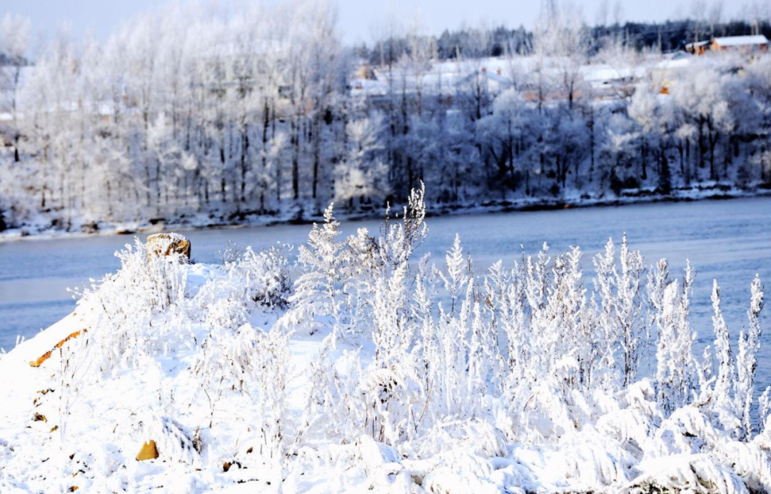 遇见最美的冬天，遇一场雪，在最美的诗词里遇雪-第10张图片-诗句网