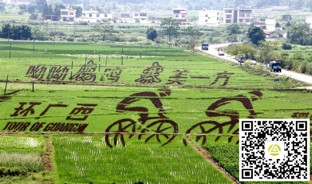 2021鹿寨中渡古鎮馬拉松報名開啟，5000個名額限量搶