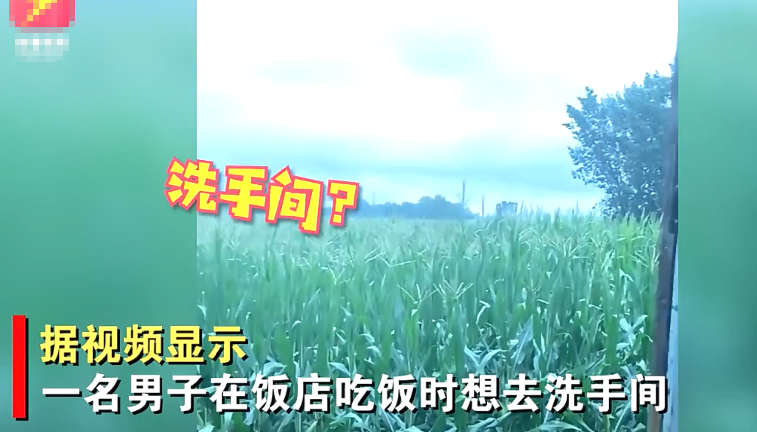 男子在饭店里上厕所，打开门之后竟是一片玉米
