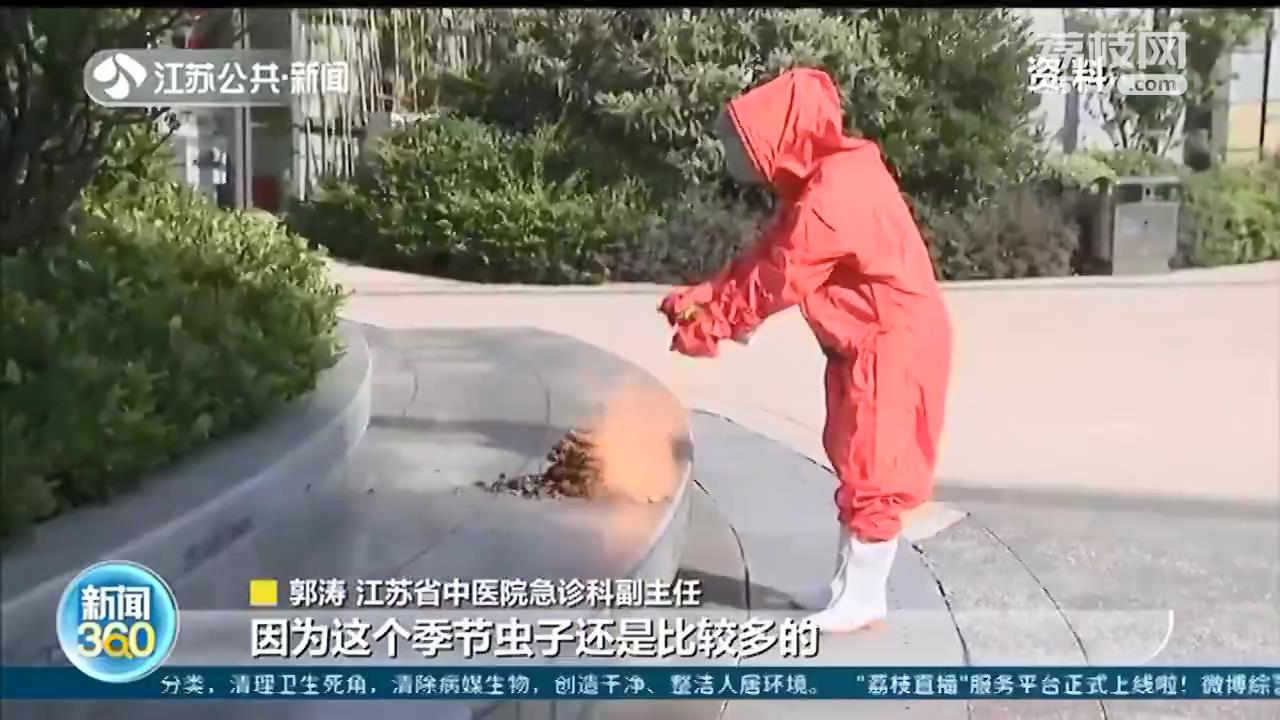 90后宝妈摘栗子碰到马蜂窝 全身被蜇了70多口，不幸身亡