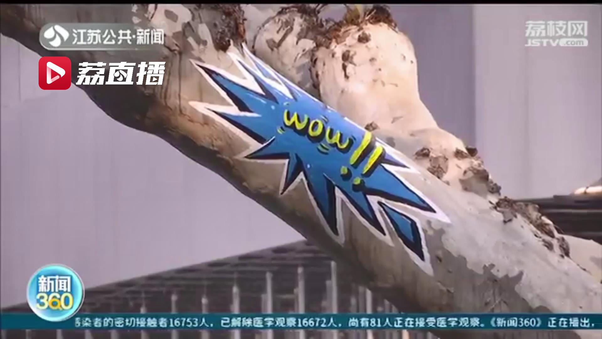 专门通道、反光彩绘、导航语音&hellip;城市梧桐守护计划保护南京的绿色风景线