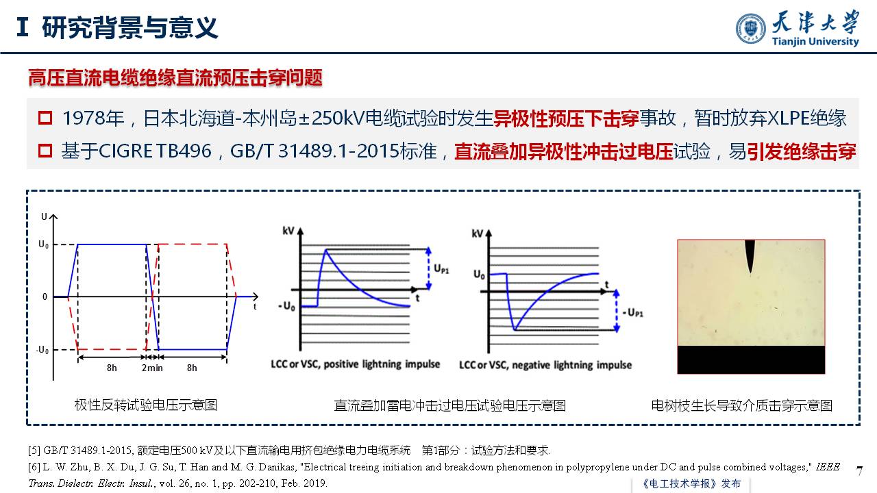 天津大学李忠磊副教授：高压直流电缆绝缘直流预压击穿特性及调控