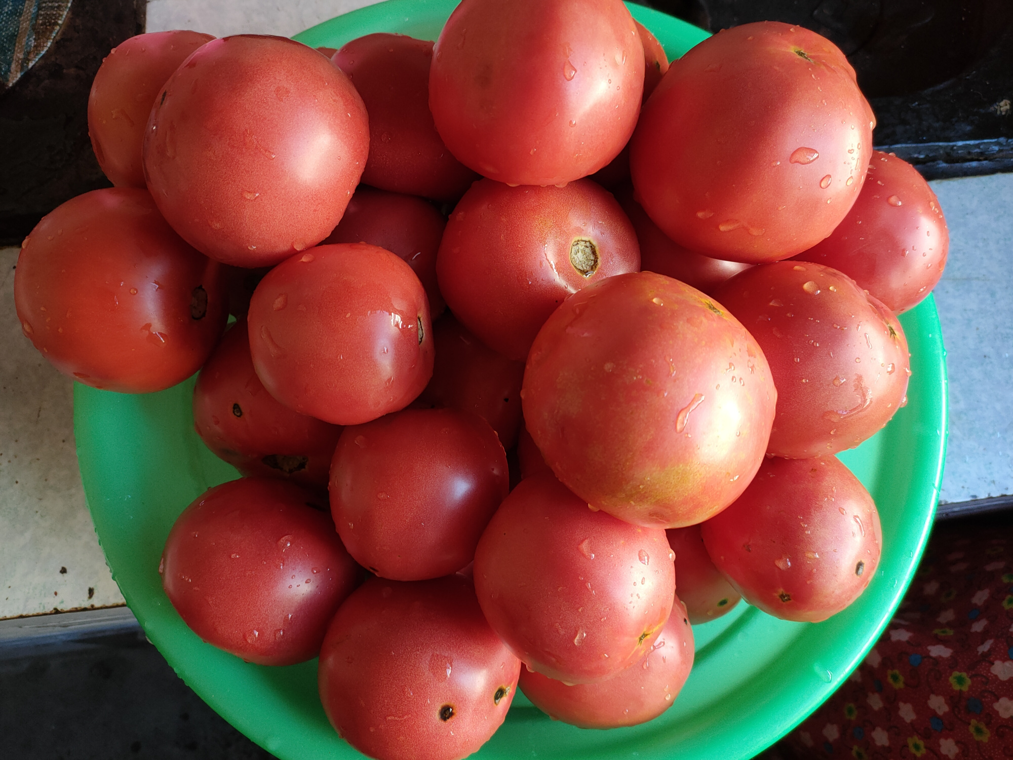 新鲜的西红柿这样储存，放到冬天都不会坏，老一辈的做法真不错