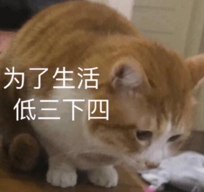 一个代码都不用敲的可视化大屏，一口气把工具和模板都送给你