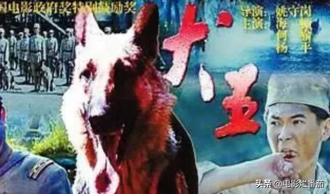 2.2分《犬王》为戏炸死功勋军犬,导演引起公愤遭网友打出超低分