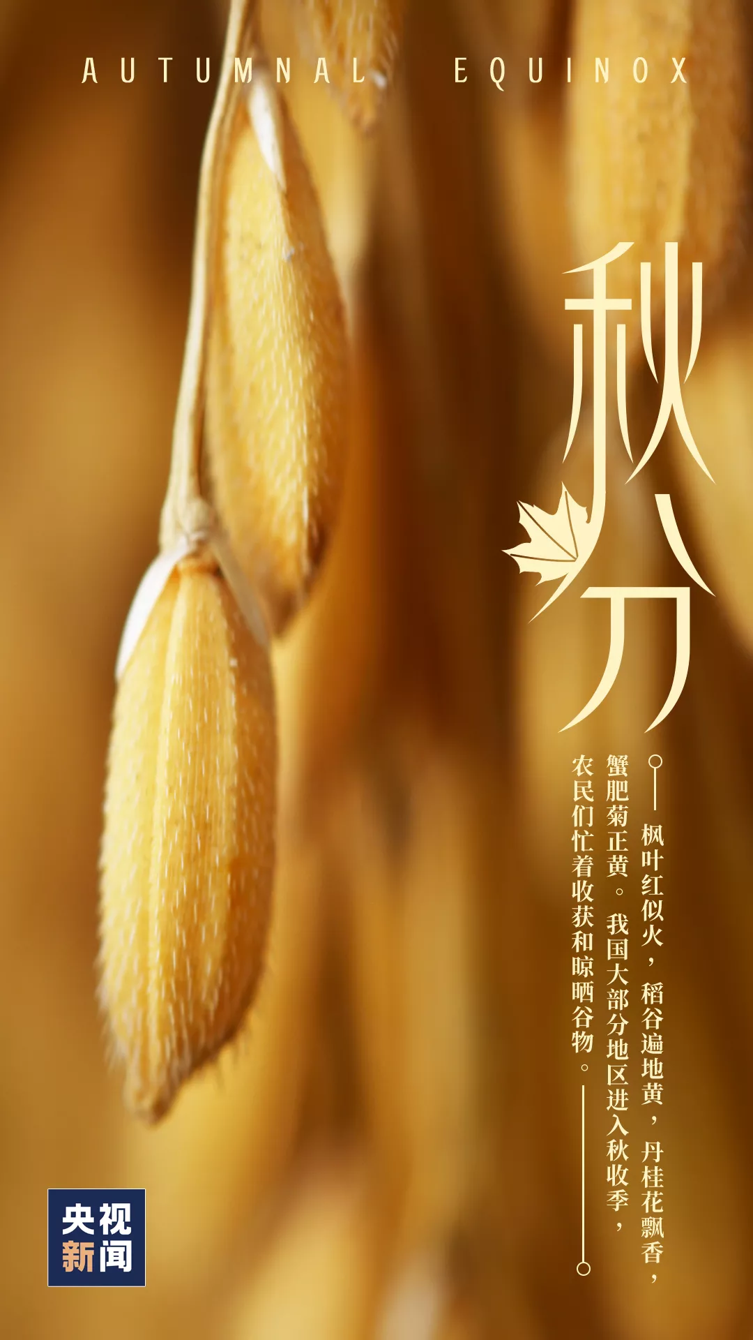 ⷨԷ