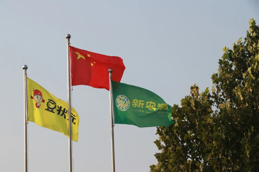 红旗飘扬，誓言铿锵，豆状元“十一”巨献