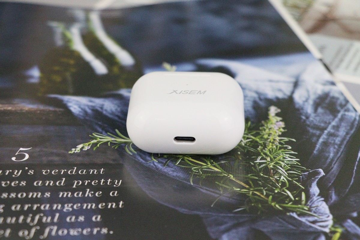 百元级的13mm动圈耳机-西圣AVA