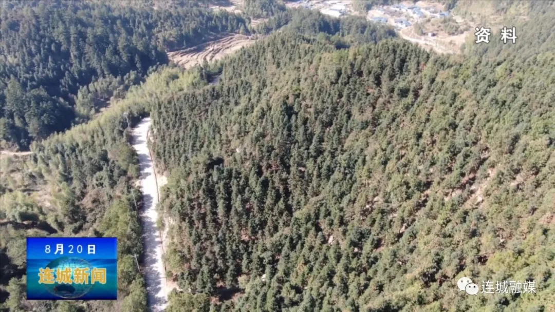 “连城县林长办公室”和“连城县人民检察院驻县林长办检察工作联络室”举行揭牌仪式