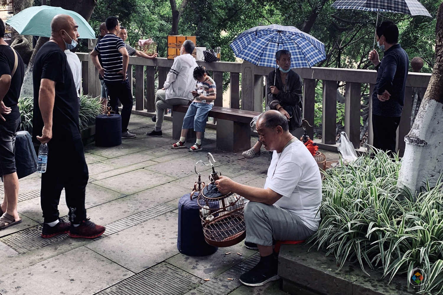 重庆城的日新月异，直辖23年之后，一直在变，却又一直没变