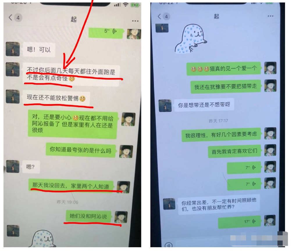 Half Tibet forest accepts ad, illicit of its vermicelli made from bean starch believes A Qin: Net living energy of life is red, you by green you are ugly you deserve