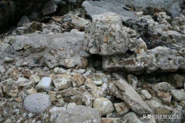 狙击手在沙漠中伪装，找出3个是行家，全部找出