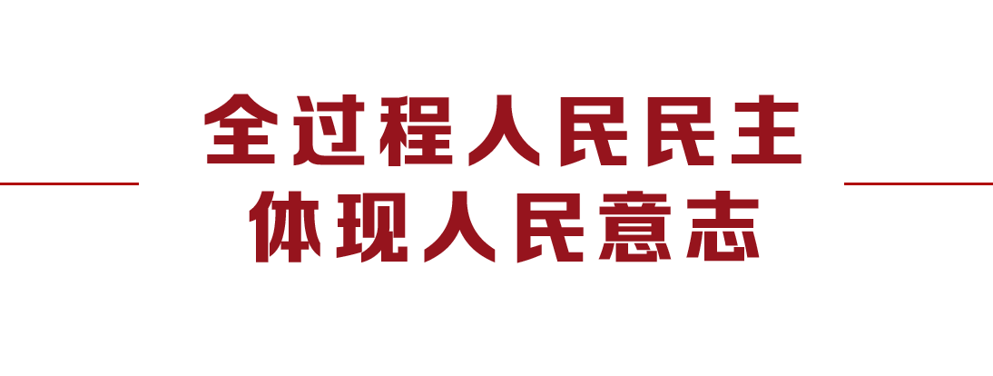 大黨丨人民的事人民議 人民的事人民定