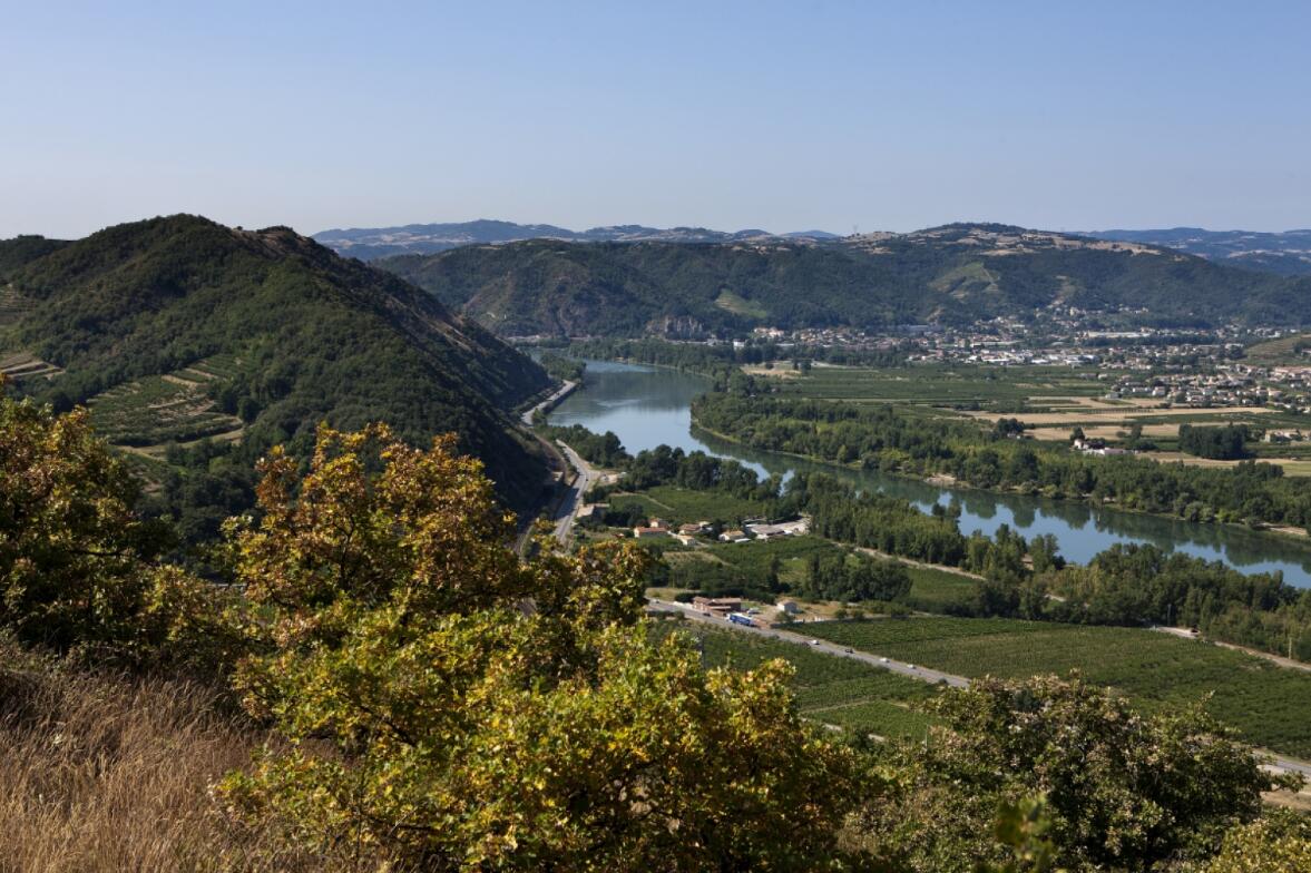 罗纳河谷：法国最大的法定红葡萄酒产区