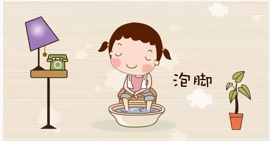 蒙古国赠羊抵浙！大雪进补，当归生姜羊肉汤首选！