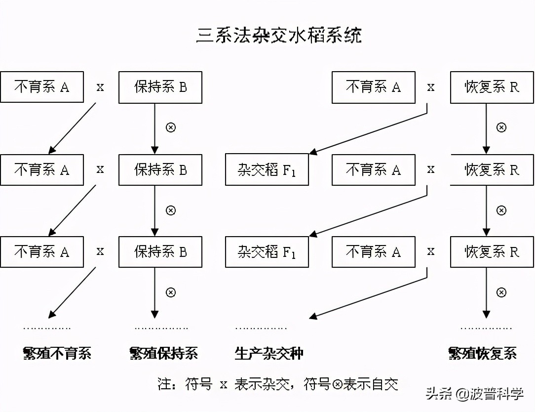 袁老最後的遺憾？荒灘變良田，真希望他活到2028年見證新成果