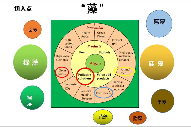 八种常见水产养殖水质！速来辨别你的池塘