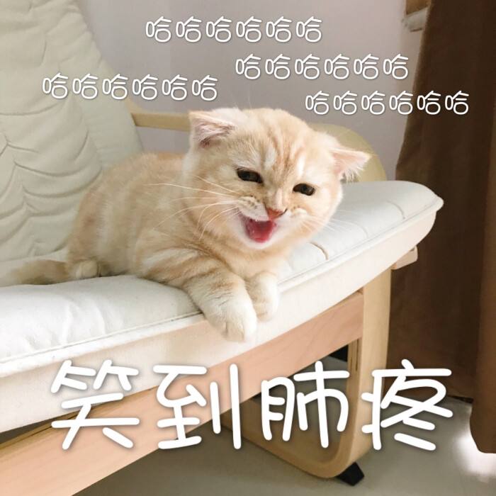 徐少强：出道50年作品无数没奖项，如今70高龄被称为网红收割机