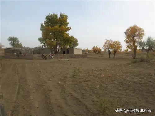 全球变暖，塔克拉玛干沙漠遭遇罕见洪水，未来会变成绿洲吗？