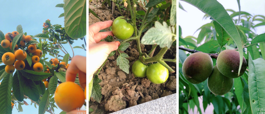 张馨予坦言收视率再高也不要再和热巴合作？给