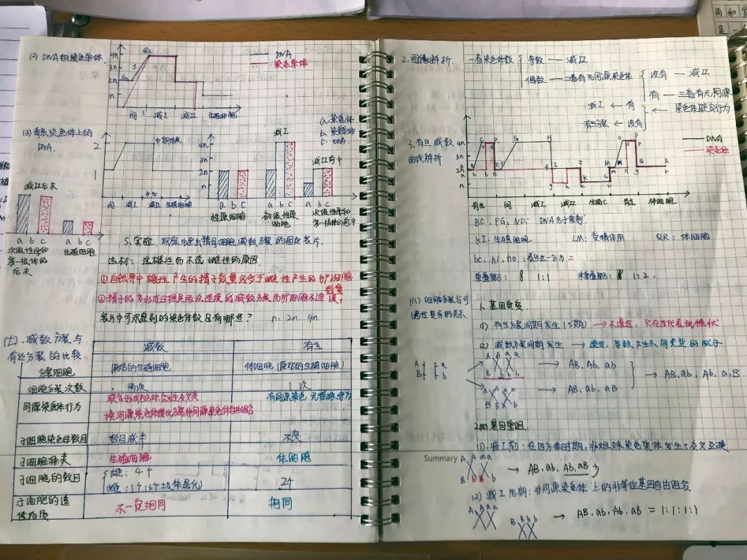 晒优秀作业，展学生风采——成才学生作业展览