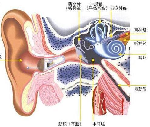 为什么有些人会恐高？是心理问题还是生理反应