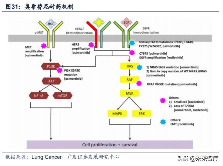 医药行业专题：第三代EGFR-TKI药物，第一大癌症造