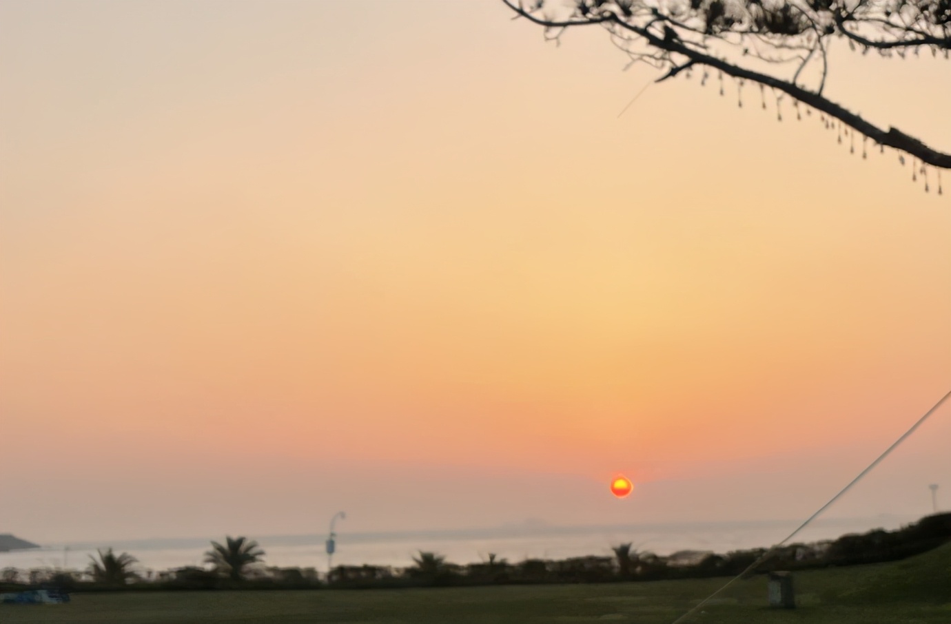 销号|刘涛评论营销号敬业精神让人佩服不按套路出牌的涛姐太幽默了！