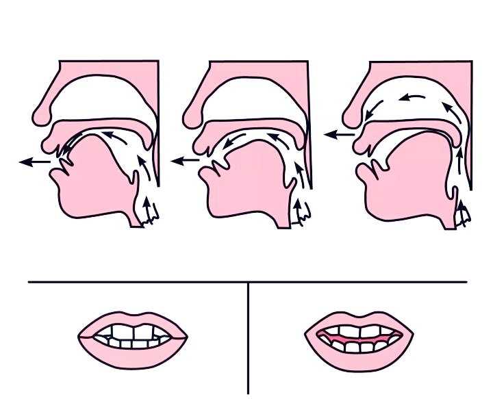 前鼻韵母有哪些（前鼻韵母和后鼻韵母表）-第3张图片-腾赚网