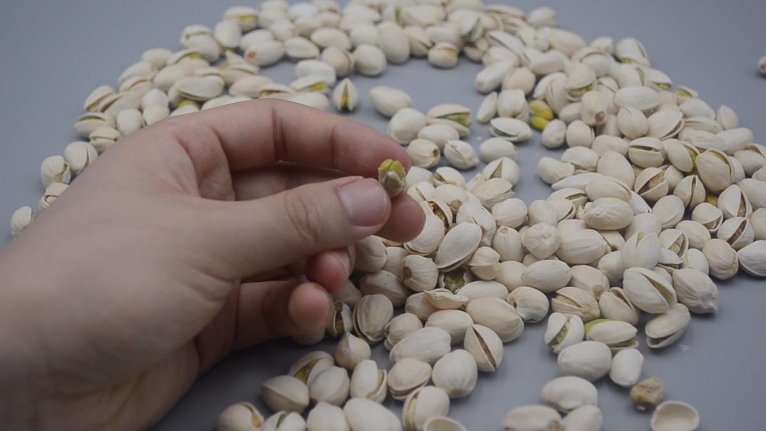 選購開心果時，“黃殼”和“白殼”哪種好？ 才知道區別這麼大