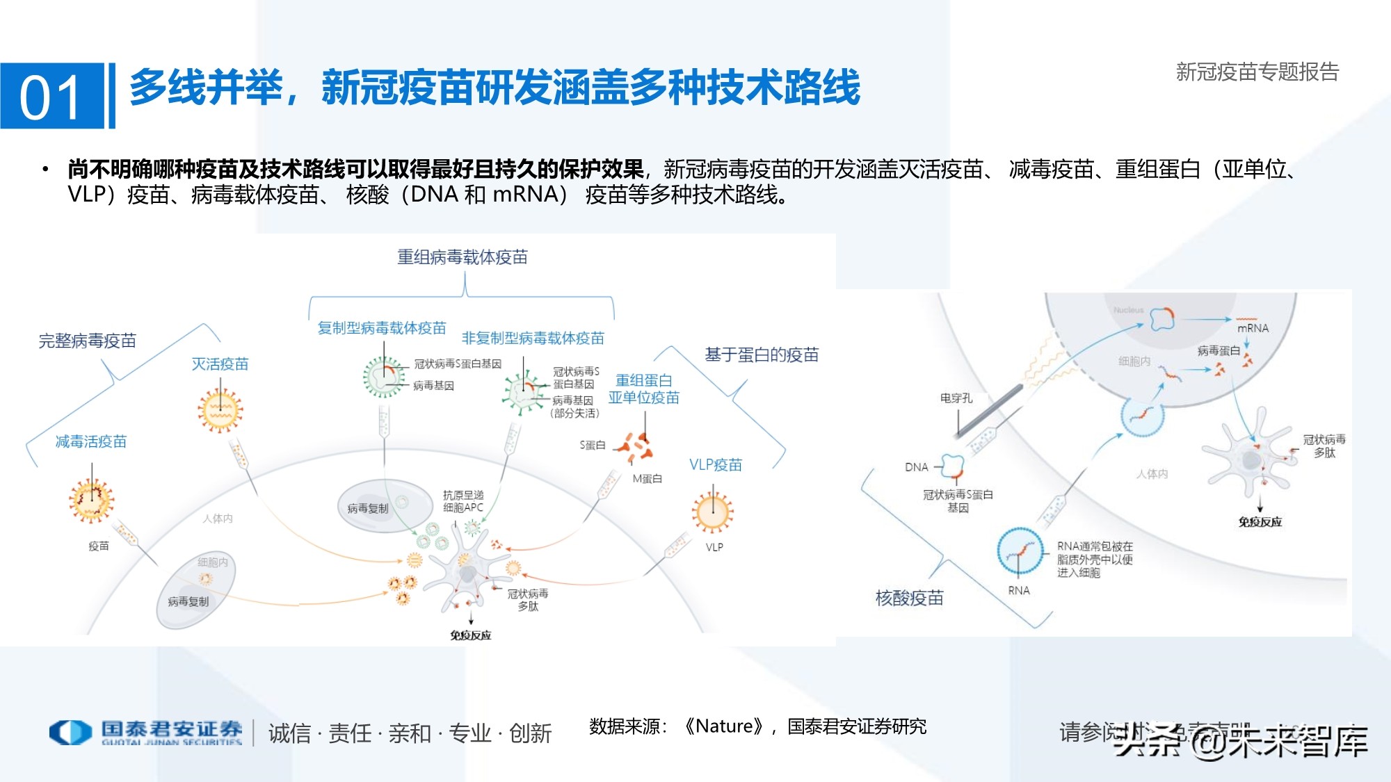 疫苗行业专题报告：新冠疫苗加速研发，曙光已现