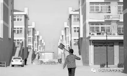 为什么山东像着魔一样花费巨额财力去合村并居