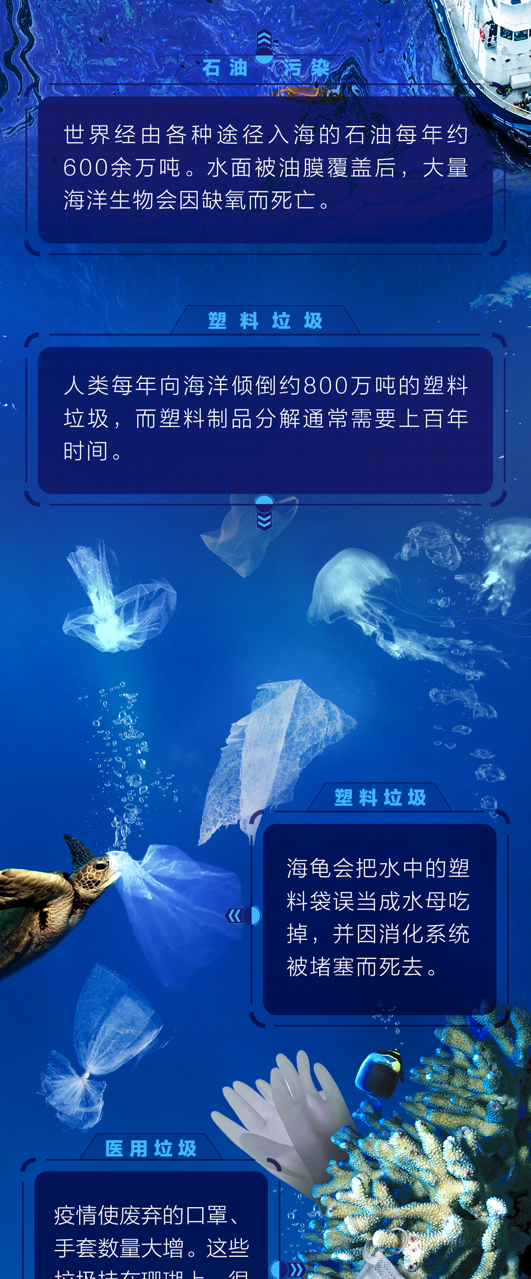 你一定想不到，海底竟是這樣的