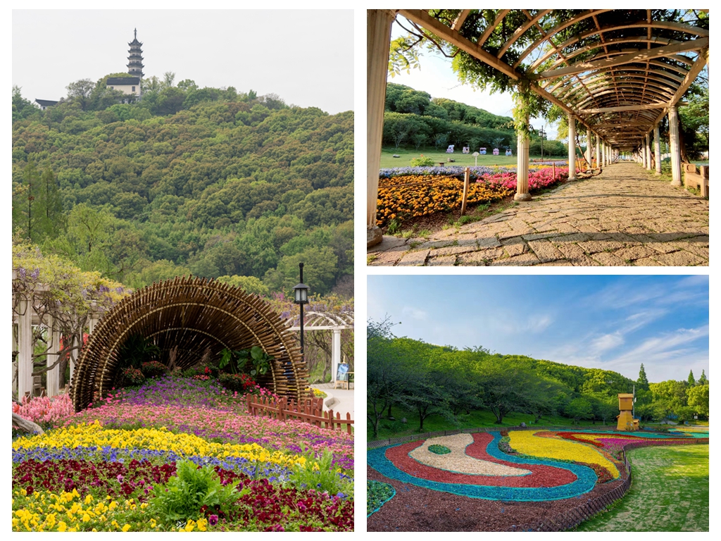 游上方山赏“百花”，苏州市植物园邀市民游客共度“五一”假期